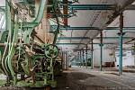 Kdysi funkční tovární hala plná tkacích strojů se postupně proměnila v kapradinovou džungli.
