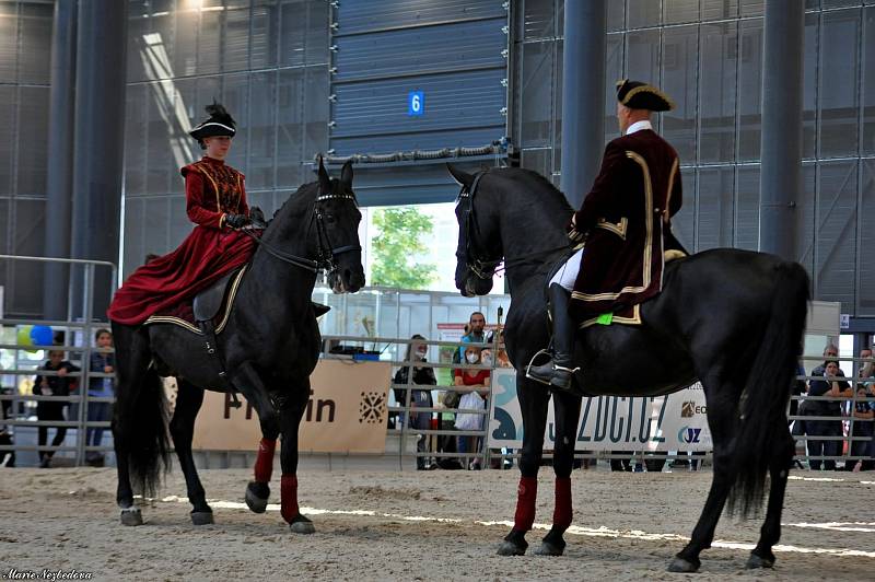 Ve dnech 5. až 8. září se na Brněnském výstavišti konal veletrh Animal Tech a současně Národní výstava hospodářských zvířat.