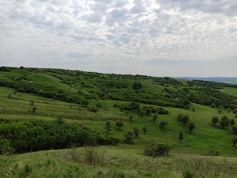 Výlet na Vyškovsko, kdy cílem byly Lysovice, Větrníky, Rostěnice a Bohdalice.