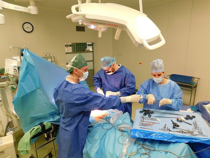 Jednodenní chirurgie - operace břišní kýly laparoskopicky.