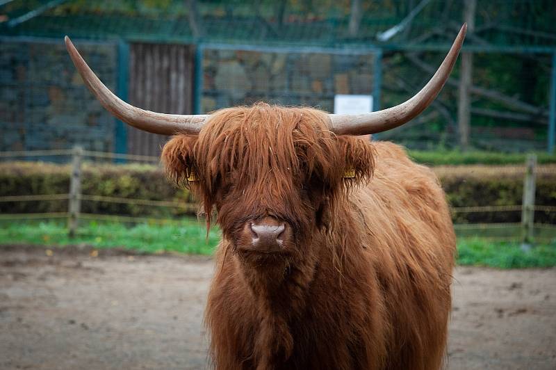 Vyškovská zoo je pro návštěvníky znovu uzavřená.