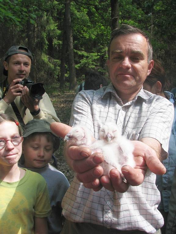 Milovníci přírody vyrazili v sobotu na tradiční jarní vycházku Vítání jarního zpěvu. Jak už název napovídá, zaměřená byla hlavně na poznávání ptactva.