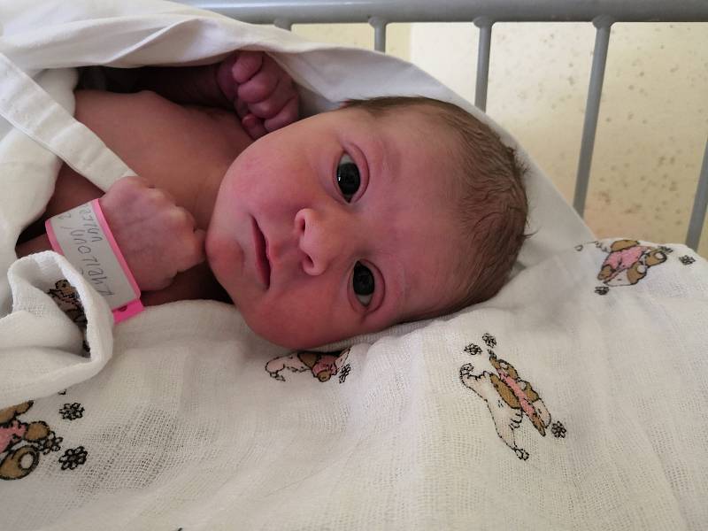 Valerie Kuřilová; 7. 6. 2019; 3690 g; 51 cm; Nemocnice Vyškov