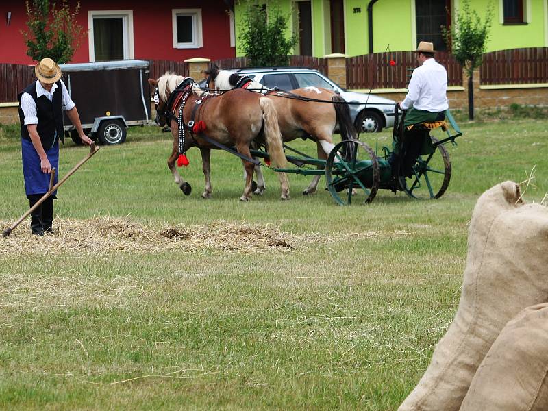 Jak se dělaly polní práce za dob našich dědů a babiček? To se v sobotu dozvěděli lidé, kteří dorazili na takzvaná Humna v Hruškách, kde se konal druhý ročník Hrušeckého hospodářského dne.