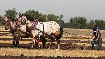 Na farmě ve Zvonovicích se v sobotu konal 1. koňský den. Součástí byla soutěž v orbě koňmo i ukázky současných zemědělských strojů.