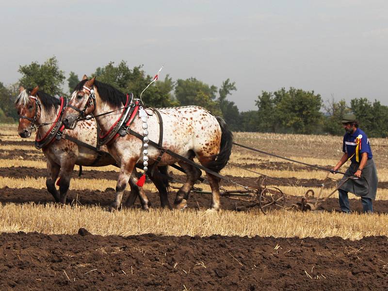 Na farmě ve Zvonovicích se v sobotu konal 1. koňský den. Součástí byla soutěž v orbě koňmo i ukázky současných zemědělských strojů.