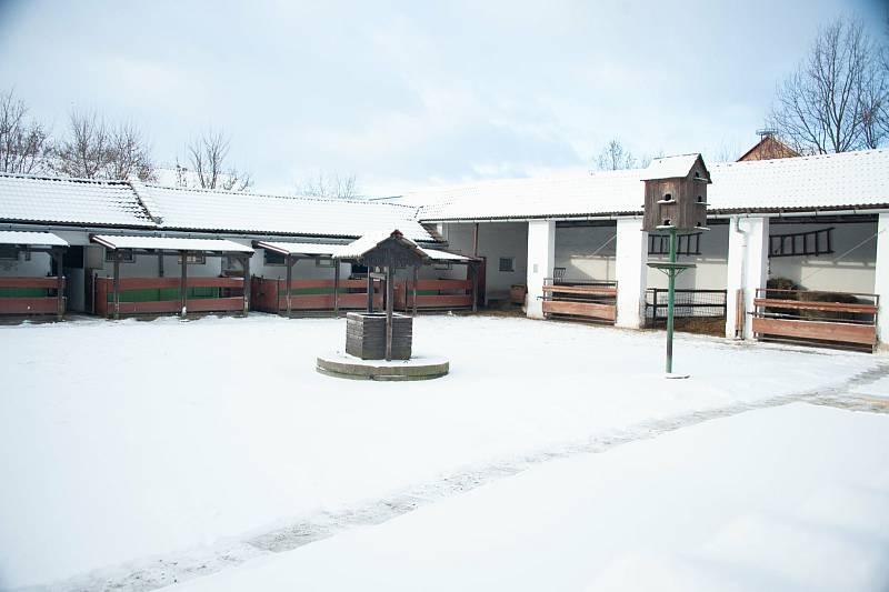 Zvířatům ve vyškovském ZooParku chybí návštěvníci.