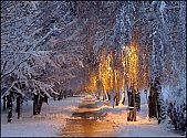 Sníh na Vyškovsku a Prostějovsku.