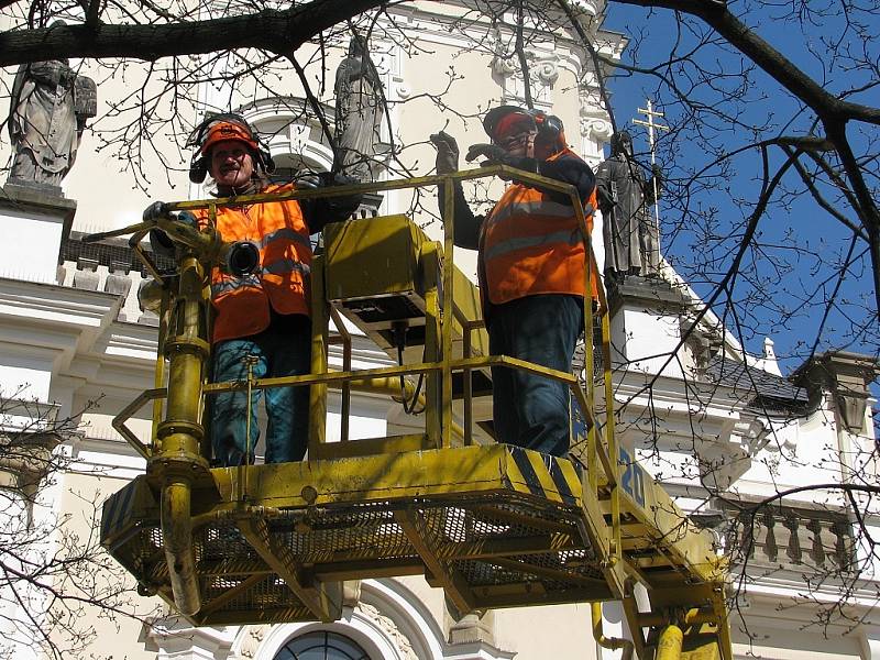 Větve starého javoru ohrožovaly bezpečnost kolemjdoucích, tak je museli prcovníci Vyškovských služeb odřezávat. 