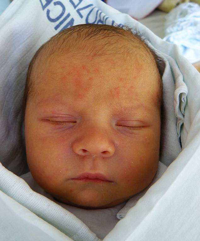 Patrik Zborovský, 52 cm, 3,75 kg, 23. června 2008, Vyškov