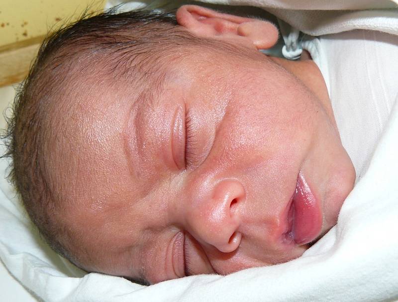 Tomáš Vöröš, 43 cm, 2,28 kg, 25. června 2008, Vyškov