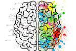 Mozek a trénování mozku. Ilustrační foto