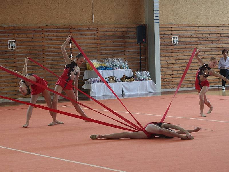 Vyškovské zástupkyně kategorie J (na snímku) zacvičily společnou skladbu se stuhami. Odvedenému výkonu přisoudily rozhodčí body, které moderním gymnastkám vynesly druhé místo mezi ostatními soupeřkami. 