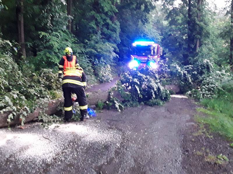 Na jižní Moravě odstraňují hasiči v sobotu večer především popadané stromy.