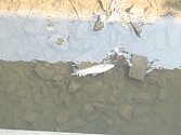 Na Vyškovsku uhynuly v Hané desítky ryb, nejhorší situace je u Nezamyslic na Prostějovsku.