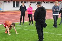 Co všechno obnáší práce policisty, zjistili lidé na workshopu na vyškovském stadionu za Smetanovými sady.