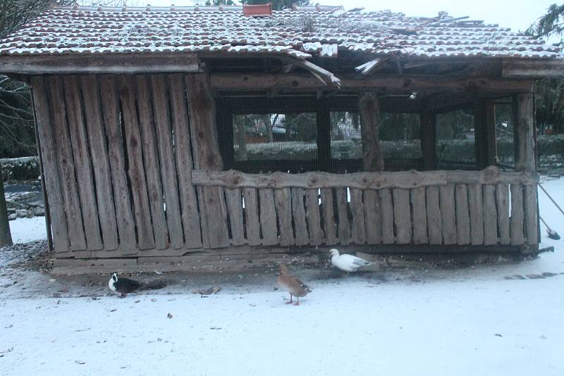 Rodiny s dětmi putovaly ve vyškovské zoo po čertovské stezce.