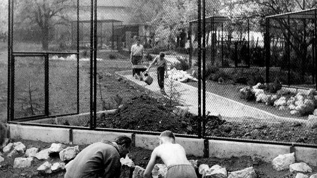 Před víc než padesáti lety, v roce 1965, kdy vyškovský zoopark vznikal, byly v jedné z jeho částí umístěné voliéry pro zvířata. Ty už neodpovídají dnešním požadavkům. Místo nich letos vznikne pavilon Austrálie. Obsadí ho klokani a andulky.