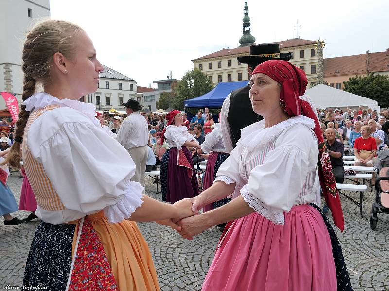 Jihomoravské dožínky se ve Vyškově konaly znovu po čtrnácti letech.