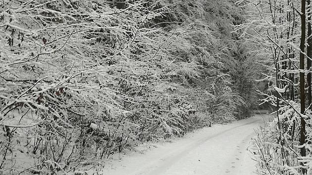 Poslední listopadový pátek a sobotu pokryl region sníh. Snímky pocházejí z Olšanska a Hostěnicka na Vyškovsku.