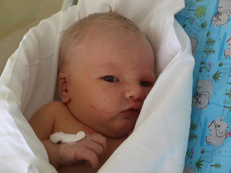 Daniel Kovařík, Šonov, 28-04-2019, 3920 g, 51 cm, nemocnice Vyškov