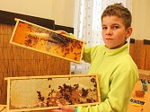 Včelařská výstava ve vyškovských Dědicích nabídla například zdobení medových perníčků, ukázku včelařských pomůcek, výrobu svíček z včelího vosku, vzdělávací panely i třeba dvě poutavé přednášky o životě včel. Zájem lidí byl velmi slušný.