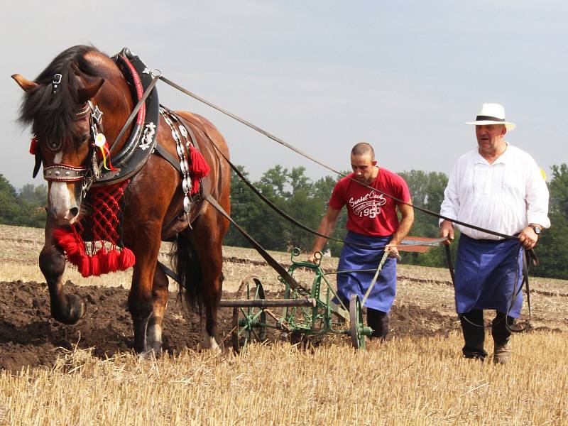 Na farmě ve Zvonovicích se v sobotu konal 1. koňský den. Součástí byla soutěž v orbě koňmo i ukázky současných zemědělských strojů.