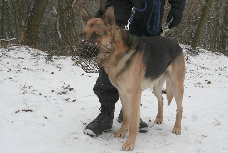 Policisté kontrolují chaty v okolí Lulče. 