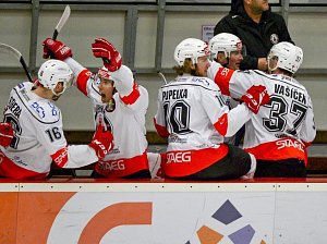 Po vítězství v Havlíčkově Brodě vedou hokejisté Vyškova v druholigovém čtvrtfinále 2:0 na zápasy.