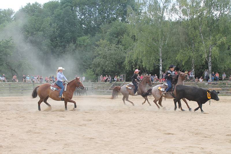 V sobotu si účastníci rodea na ranči Manner v Bohdalicích zkouší několik dobytkářských disciplín. Na tu nejtěžší, kácení telete, si troufají jen muži. Skolit třísetkilové tele se podařilo jednomu.