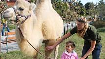 Lidé se bavili ve vyškovském Zoo parku. Oslavili půlstoletí od jeho založení.