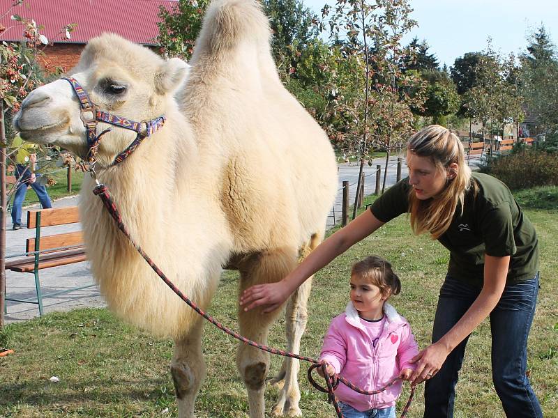 Lidé se bavili ve vyškovském Zoo parku. Oslavili půlstoletí od jeho založení.