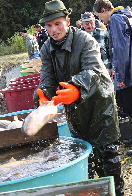 Spolek Horák se pustil do výlovu zadního pavlovického rybníka po roce a půl. Příchozí obdivovali mnohakilové kusy kaprů i dalších druhů ryb.