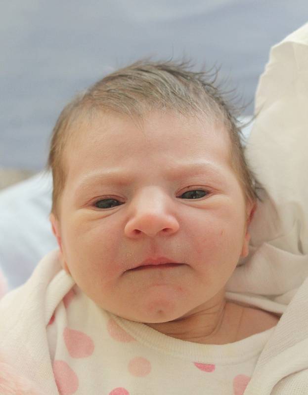 Alžběta Zlámalová, 51 cm, 3 660 g, 16. ledna 2019, Moravské Prusy, Nemocnice Vyškov