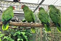 V papouščí zoo nyní provozují stovku expozic.