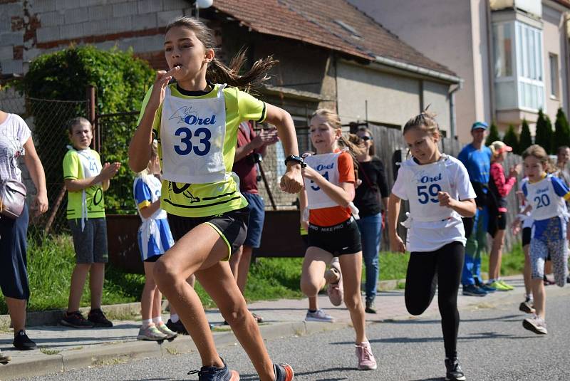 Dalším závodem Orelské běžecké ligy byl Obřanský kros.