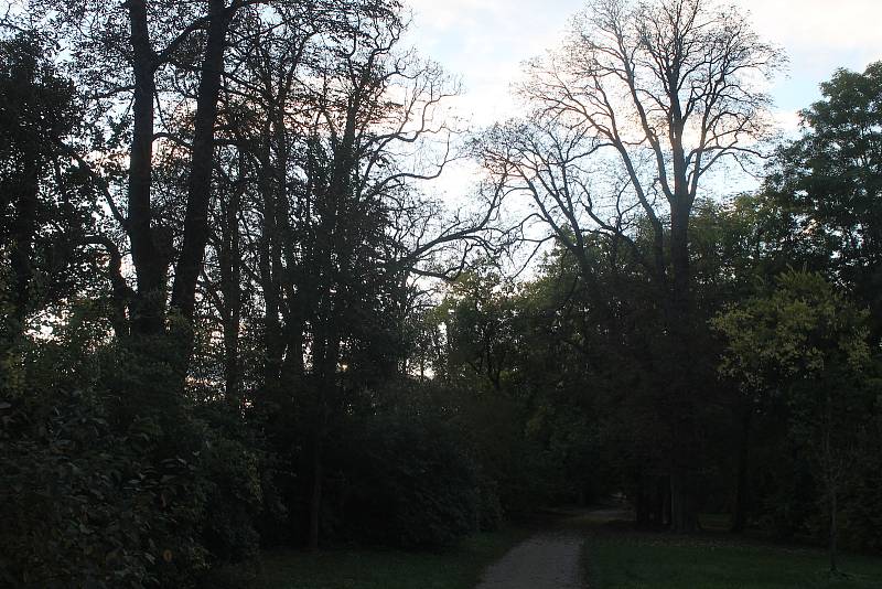 Letní teploty ve Slavkově výrazně snižuje především zámecký park, další rozšiřování zeleně bude do budoucna jednou z priorit.