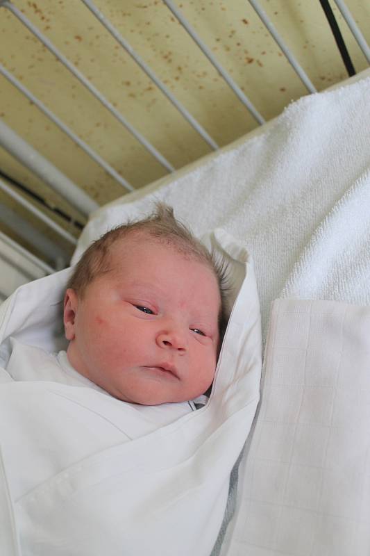 Karolína Špinarová, 51 cm, 3 630 g, 10. listopadu 2016, Mostkovice, Nemocnice Vyškov 