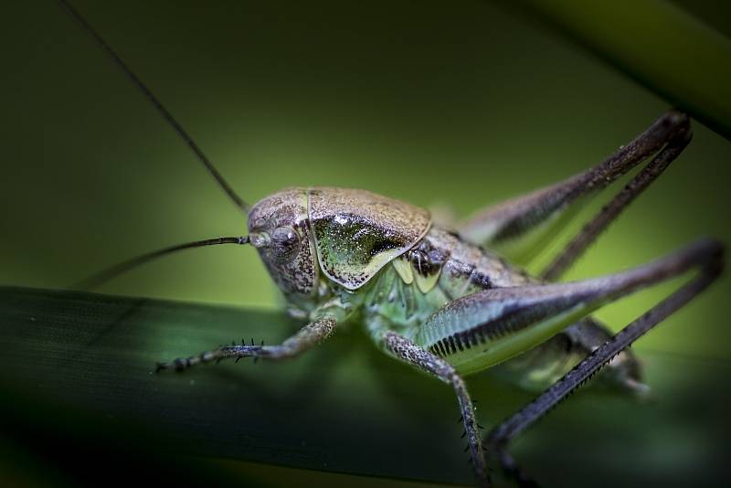 Nadšený fotograf pořídil působivé snímky v okolí Vyškova.