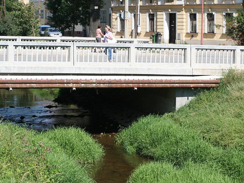 Koryto řeky Hané je ve Vyškově téměř ucpané usazeninami.