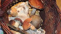Září bylo na houby poměrně bohaté a příjemné počasí lákalo houbaře do lesů.