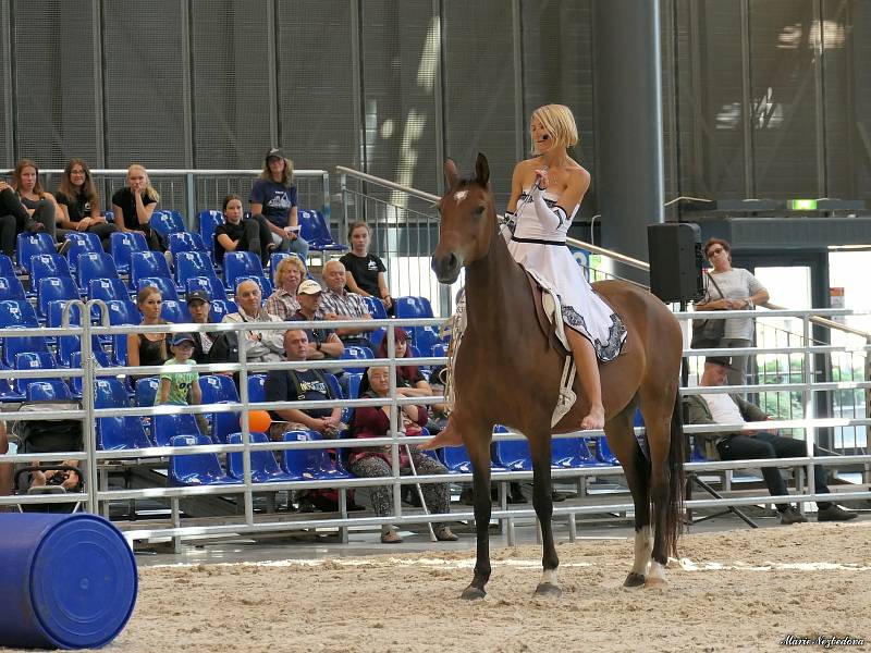 Ve dnech 5. až 8. září se na Brněnském výstavišti konal veletrh Animal Tech a současně Národní výstava hospodářských zvířat.