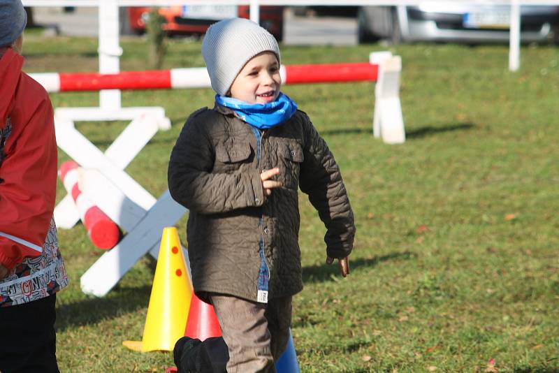 Vyškovská Piafa zvala na Den otevřených dveří u koní.