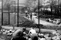 Vyškovský zoopark vznikl v roce 1965. V jedné z jeho částí byly umístěné voliéry pro zvířata, které už neodpovídají dnešním požadavkům. Příští rok je má nahradit pavilon Austrálie s klokany a andulkami.