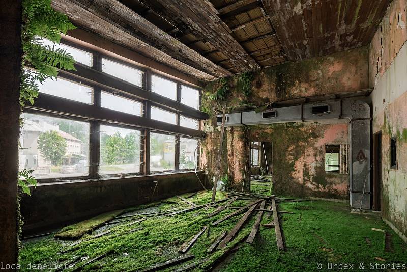 Vstupní hala, hotelový bar, prostorná jídelna – vše postupně mizí v nezvané vegetaci.