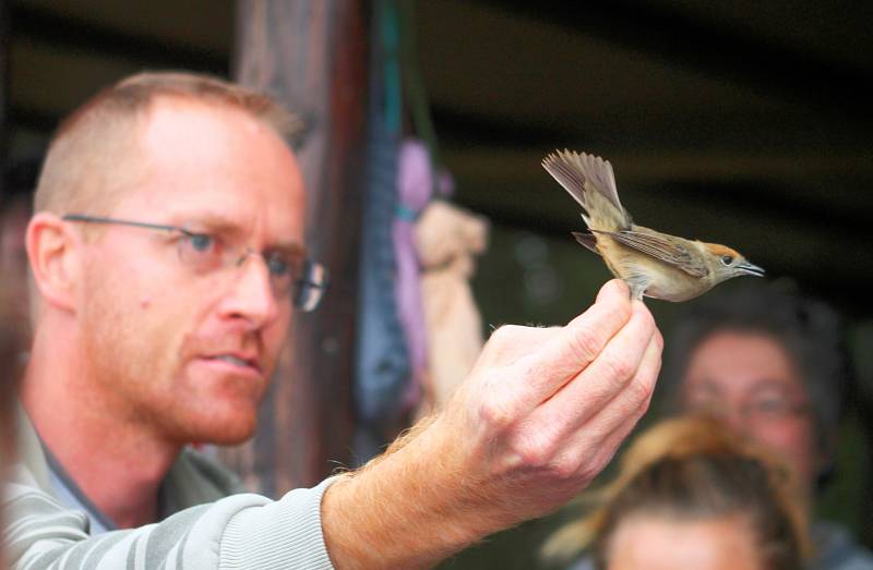 Kroužkování umožní identifikaci každého ptačího jedince po celou dobu jeho života. U rousínovského Kroužku jich ornitologové nakonec odchytli třiasedmdesát.