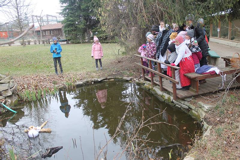 Děti ze souboru Klebetníček v zoo vynášely Morenu.