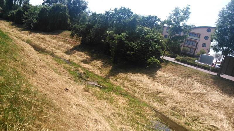 Přestože Povodí Moravy tvrdí, že čistí břeh Hané ve Vyškově, a před několika týdny pomohli i hokejisté, odpadky se tam zase válí.