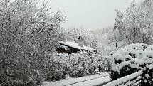 Poslední listopadový pátek a sobotu pokryl region sníh. Snímky pocházejí z Olšanska a Hostěnicka na Vyškovsku.