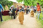 Zámecký park ve Slavkově byl poslední květnovou sobotu plný pohádkových bytostí. Lidé si užili také jarmark. Pořadatelé rozdali odměny 3,5 tisícům dětí.